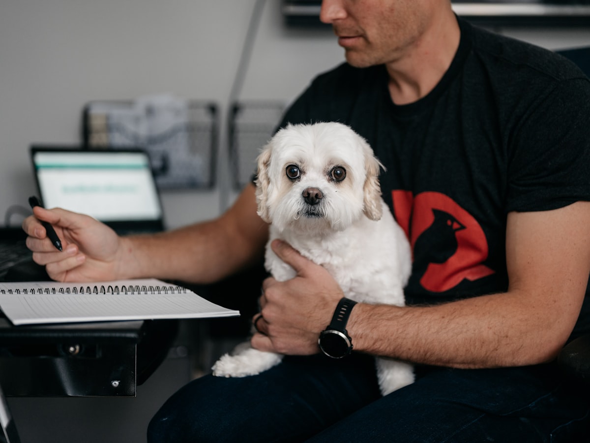 Behandlare som för journal vid datorn med en liten hund i knät.